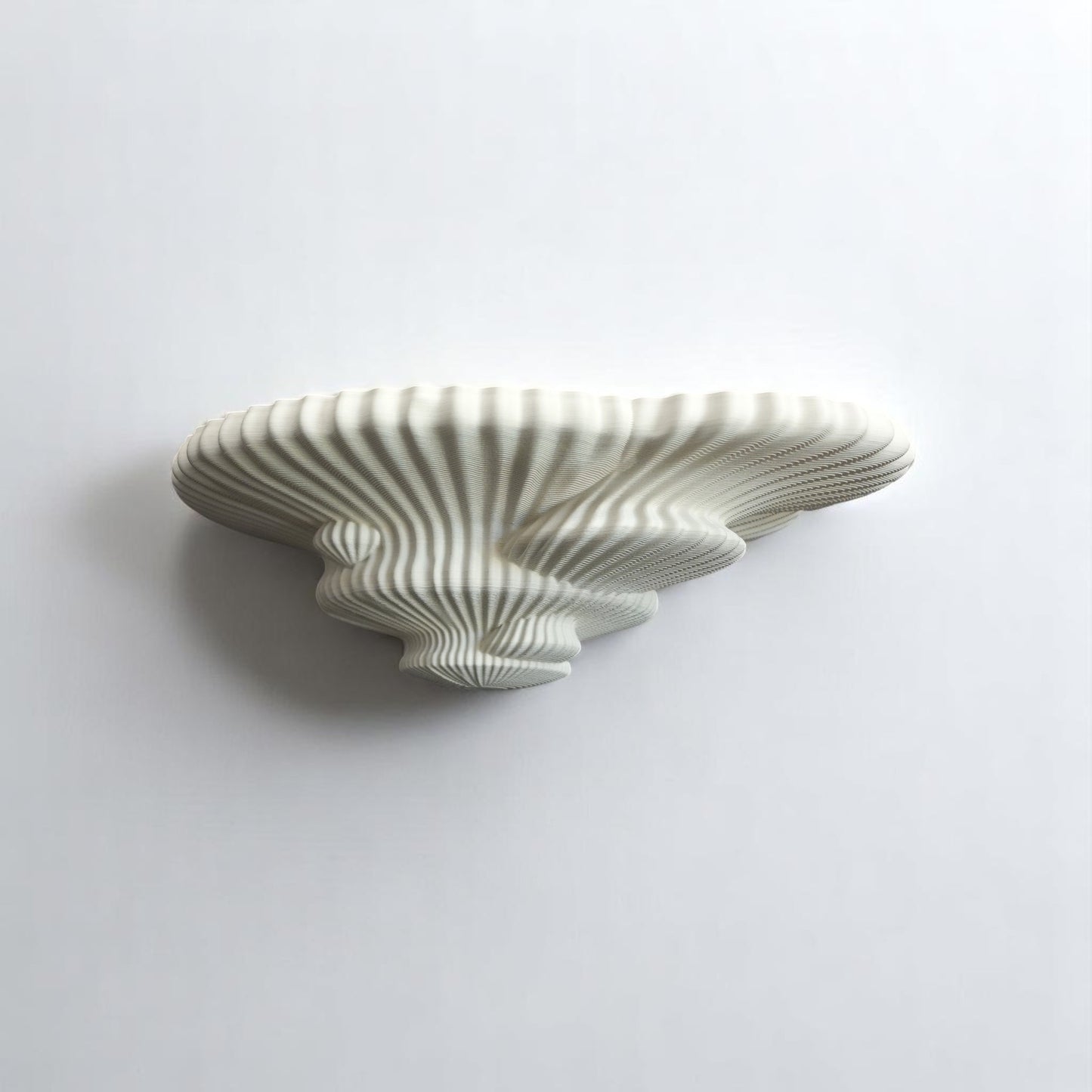 "TINDER FUNGUS" SHELF