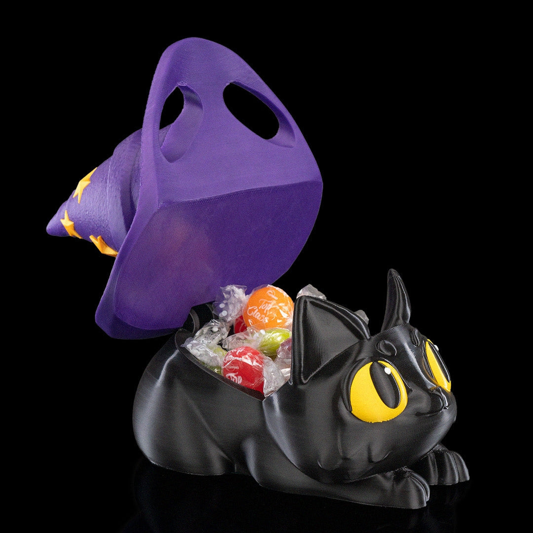 Witch Kitty