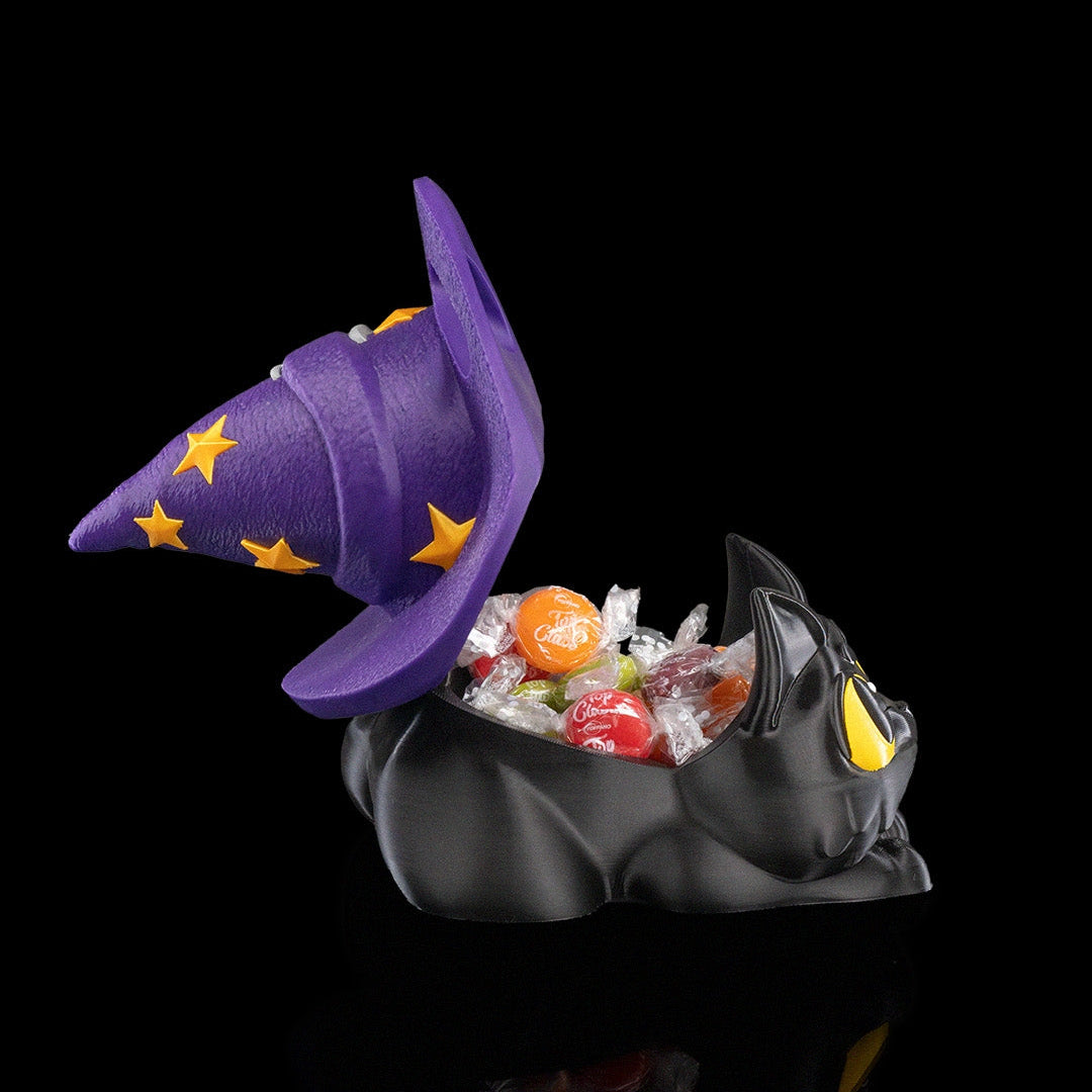 Witch Kitty