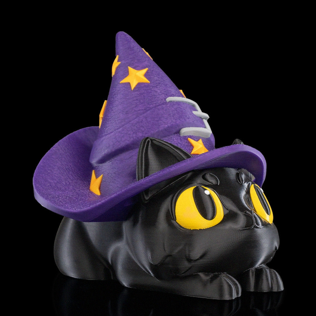 Witch Kitty