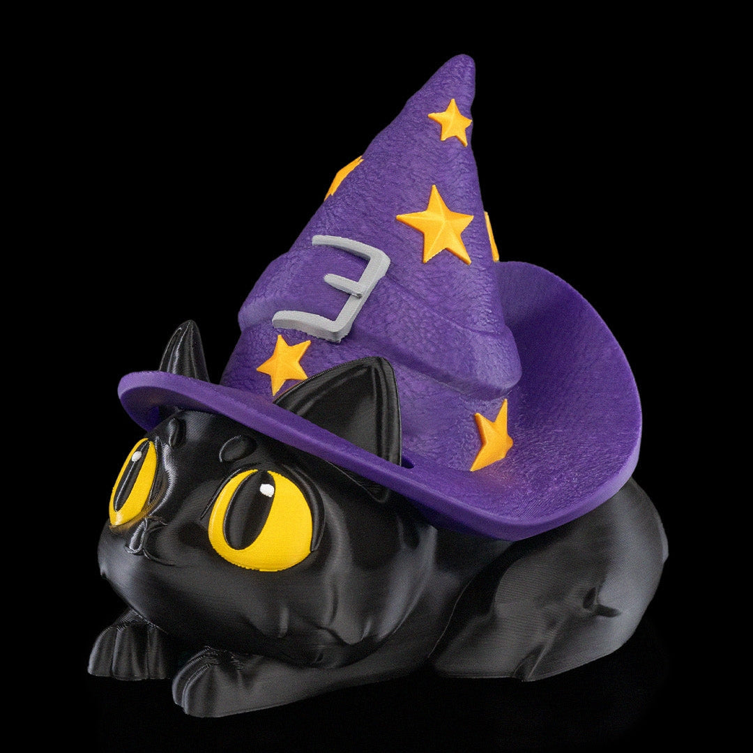 Witch Kitty
