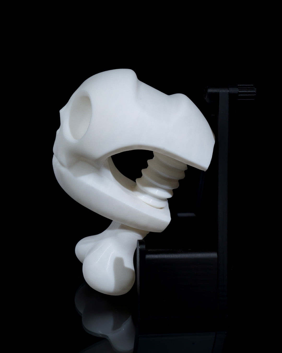 Skull & Bones headphone Holder